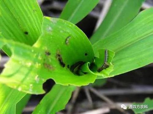 ���הQ����ô�k����ץ�o��Q��(hu��)Ӱ푮a(ch��n)��!!!